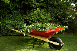 Sell quickly in Fort lauderdale with home staging and with me as your real estate agent - 9548184743